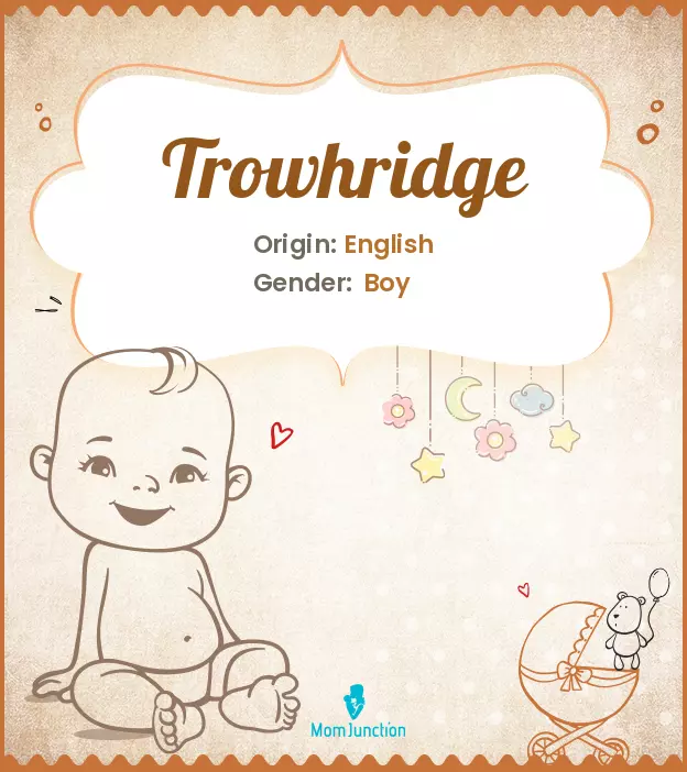 trowhridge_image