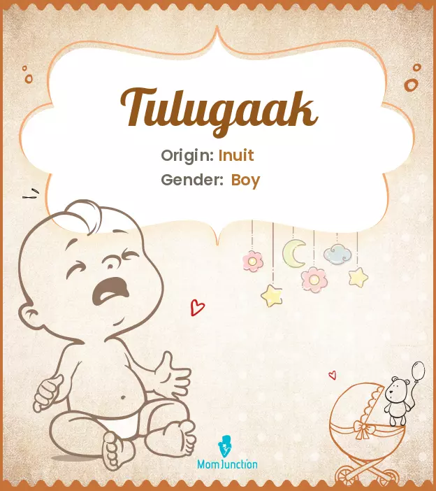 Tulugaak_image