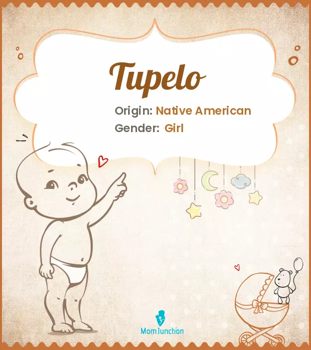 Explore Tupelo: Meaning, Origin & Popularity_image