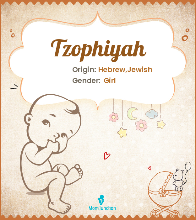 Tzophiyah