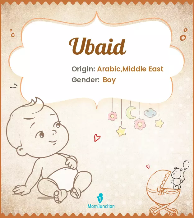 Ubaid