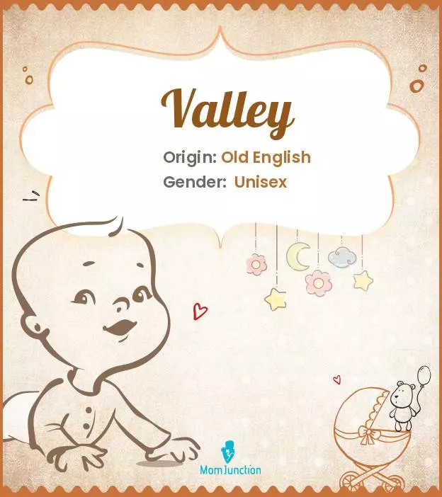 Explore Valley: Meaning, Origin & Popularity | MomJunction