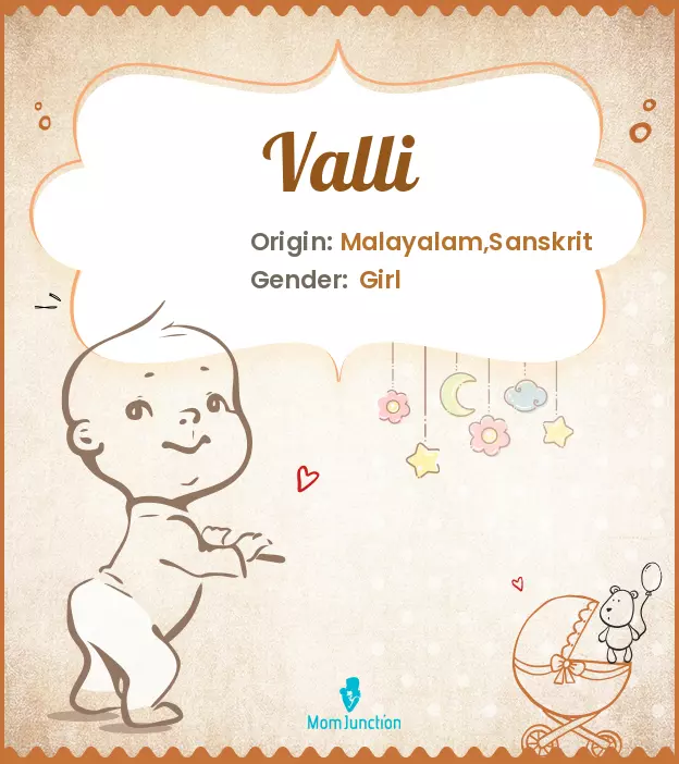 Explore Valli: Meaning, Origin & Popularity_image