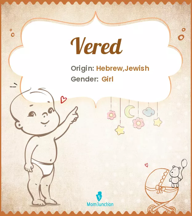 Explore Vered: Meaning, Origin & Popularity | MomJunction