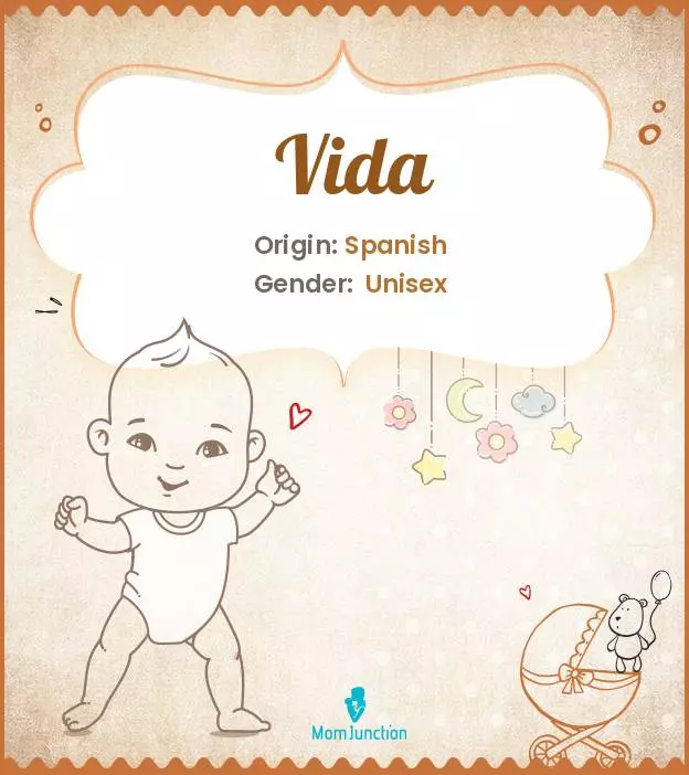 Explore Vida: Meaning, Origin & Popularity_image