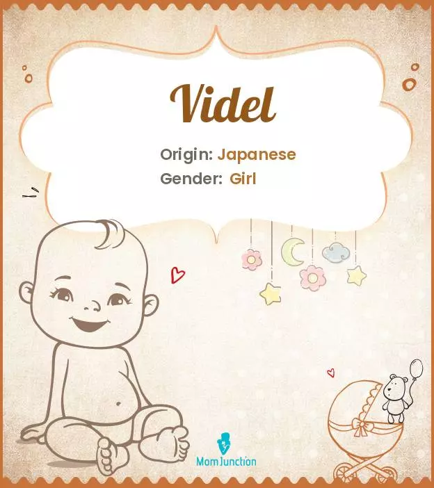 Explore Videl: Meaning, Origin & Popularity | MomJunction