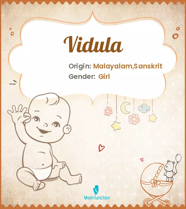 Explore Vidula: Meaning, Origin & Popularity_image