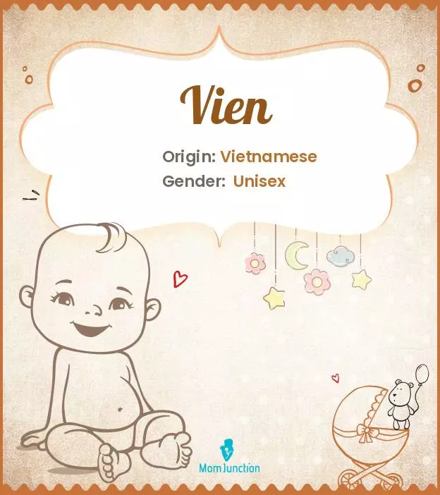 Explore Vien: Meaning, Origin & Popularity | MomJunction