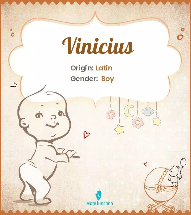 Explore Vinicius: Meaning, Origin & Popularity | MomJunction