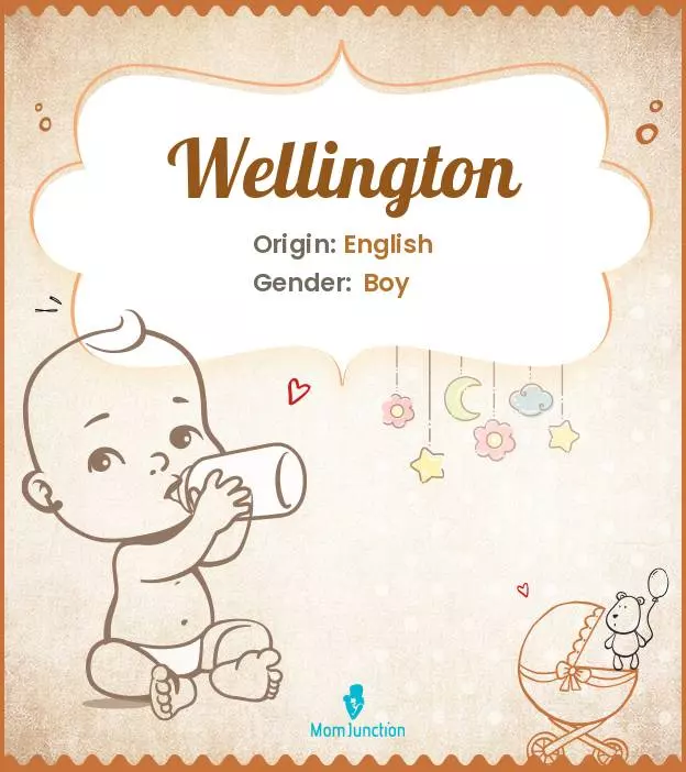 Explore Wellington: Meaning, Origin & Popularity | MomJunction