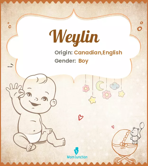 Explore Weylin: Meaning, Origin & Popularity | MomJunction