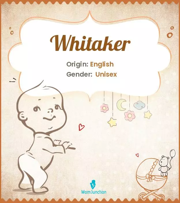 Explore Whitaker: Meaning, Origin & Popularity_image