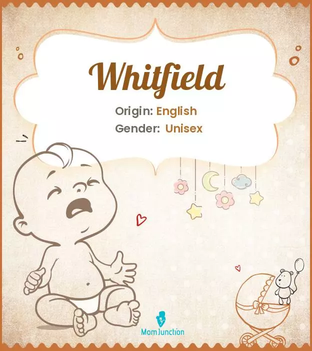 Explore Whitfield: Meaning, Origin & Popularity_image