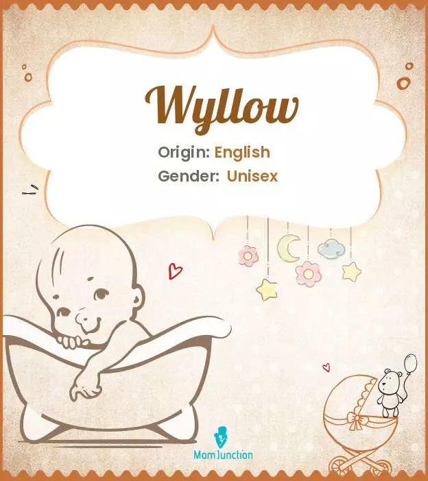 Explore Wyllow: Meaning, Origin & Popularity | MomJunction