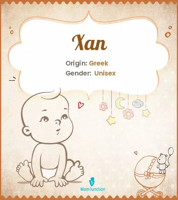 Baby Name Xan Meaning, Origin, And Popularity