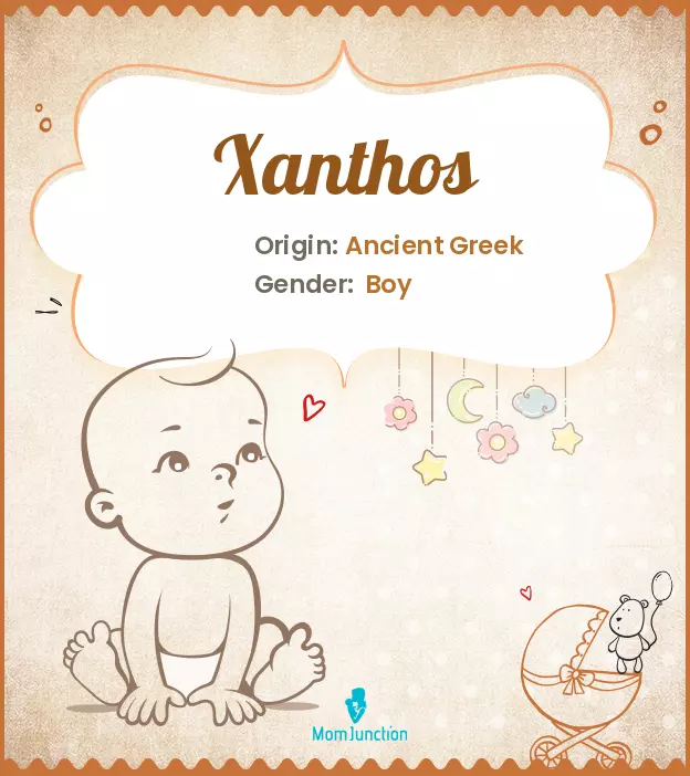 Explore Xanthos: Meaning, Origin & Popularity | MomJunction