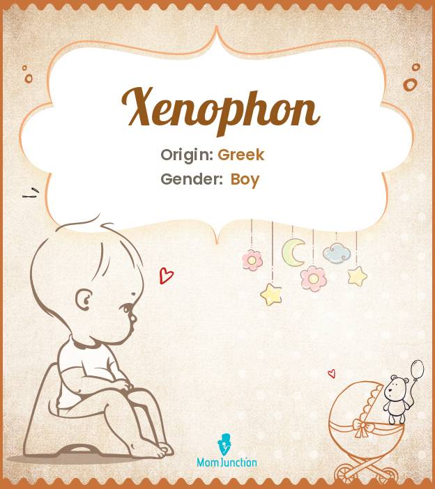 xenophon
