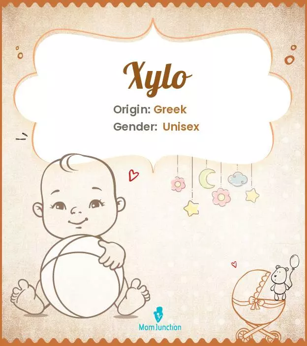 Explore Xylo: Meaning, Origin & Popularity