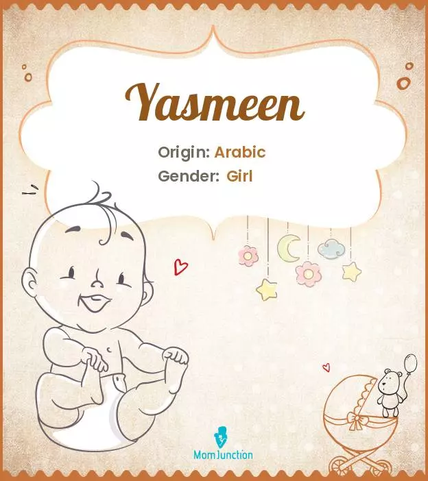 Explore Yasmeen: Meaning, Origin & Popularity_image