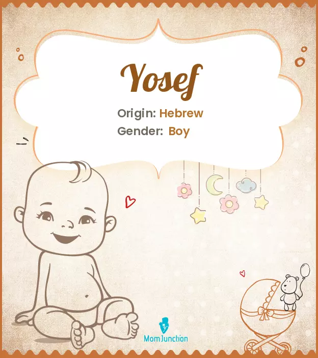 Yosef: Name Meaning, Origin, History, And Popularity | MomJunction