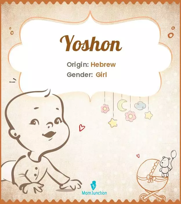 Explore Yoshon: Meaning, Origin & Popularity | MomJunction
