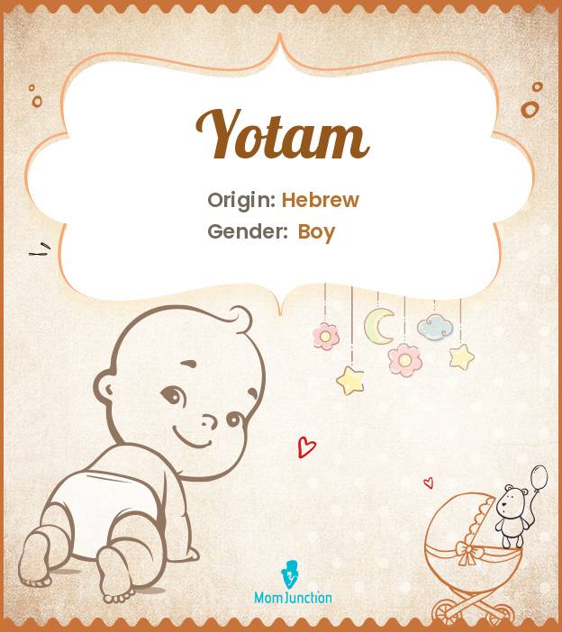Yotam