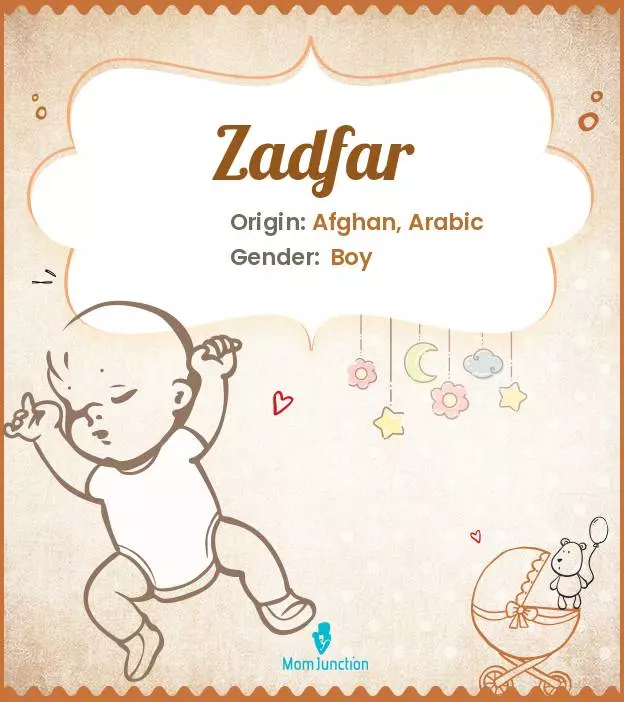 Zadfar_image