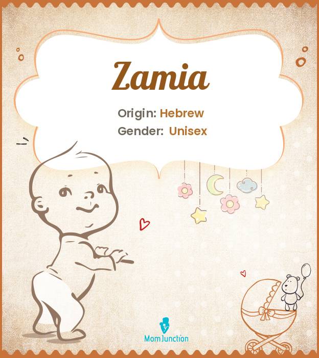 Zamia
