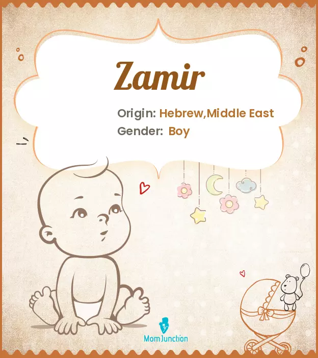 Explore Zamir: Meaning, Origin & Popularity_image