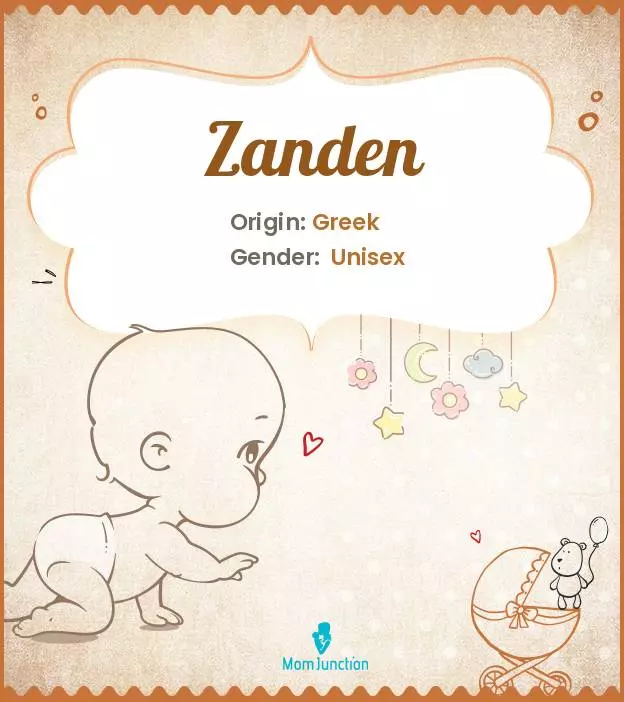 Explore Zanden: Meaning, Origin & Popularity | MomJunction