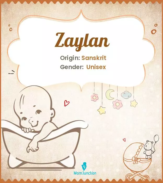 Baby Name Zaylan Meaning, Origin, And Popularity