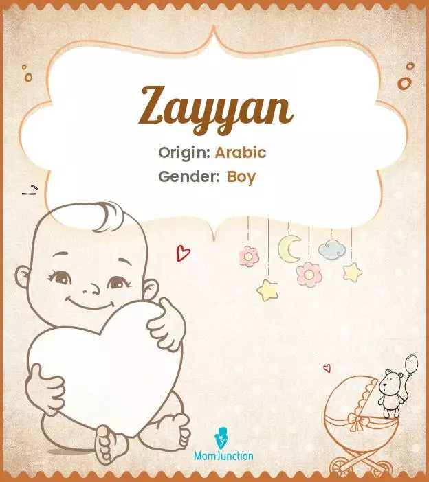 Explore Zayyan: Meaning, Origin & Popularity | MomJunction
