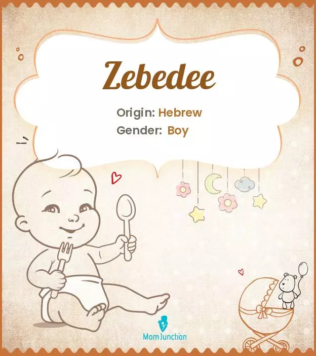 Explore Zebedee: Meaning, Origin & Popularity_image