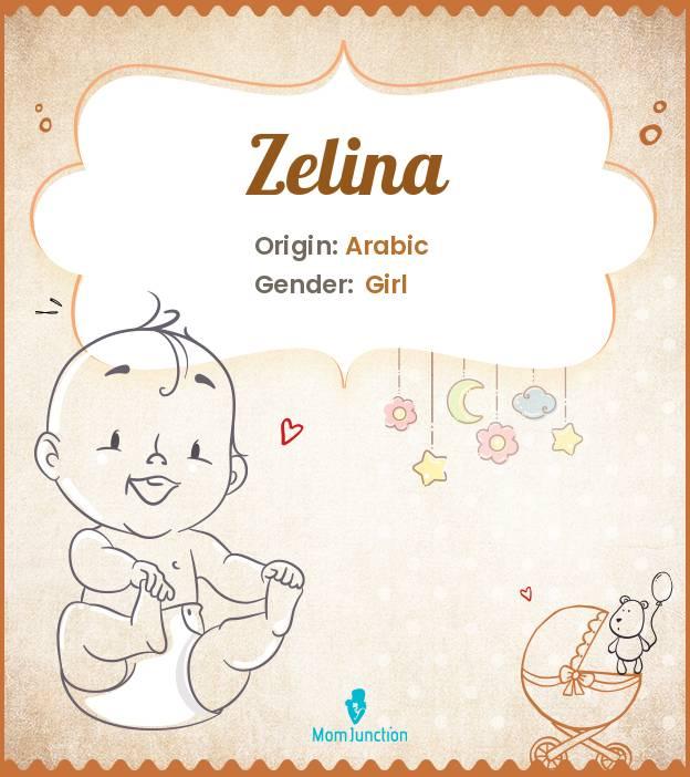 Explore Zelina: Meaning, Origin & Popularity_image