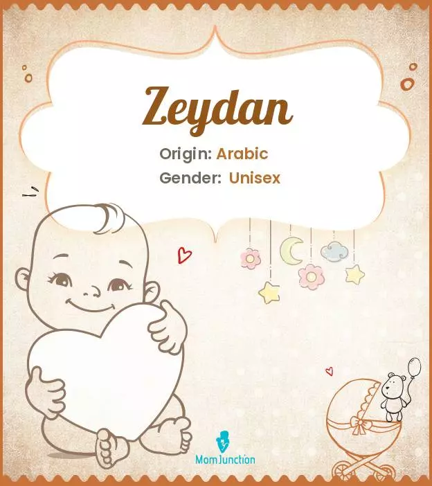 Baby Name Zeydan Meaning, Origin, And Popularity