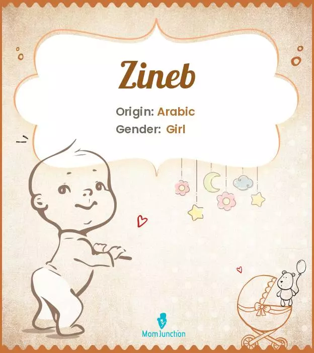Explore Zineb: Meaning, Origin & Popularity | MomJunction