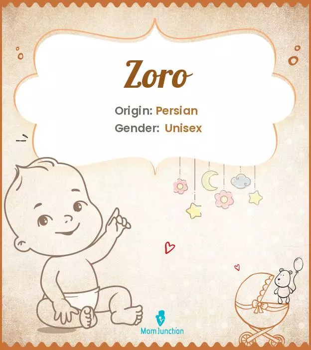 Baby Name Zoro Meaning, Origin, And Popularity