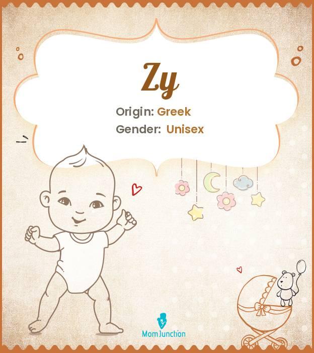 Zy Name Meaning Origin History And Popularity MomJunction