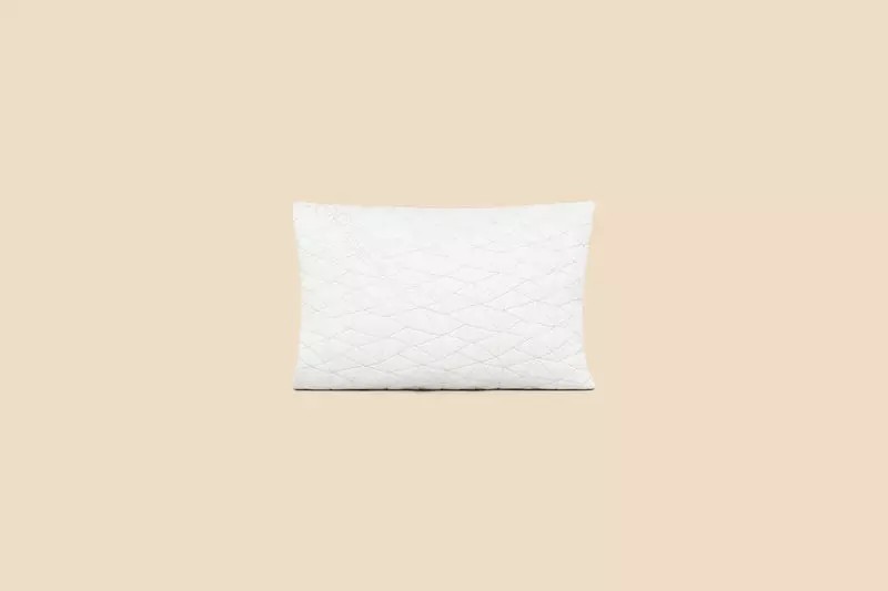 Coop Home Goods Toddler Pillow