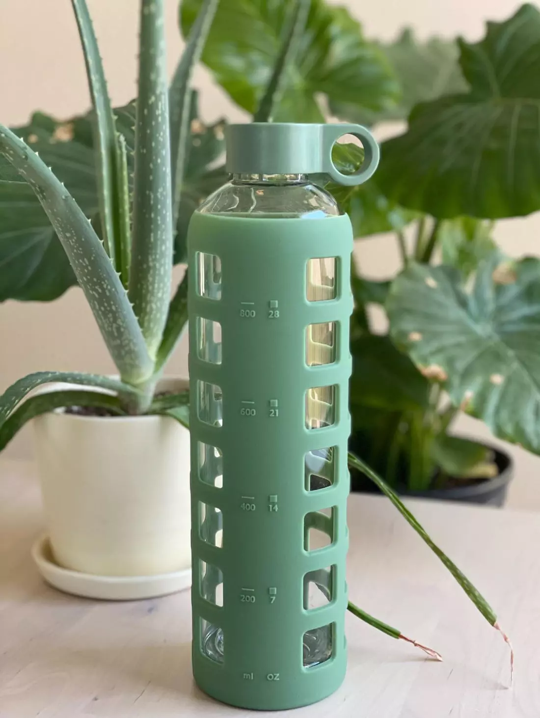 Purifyou Glass Water Bottle