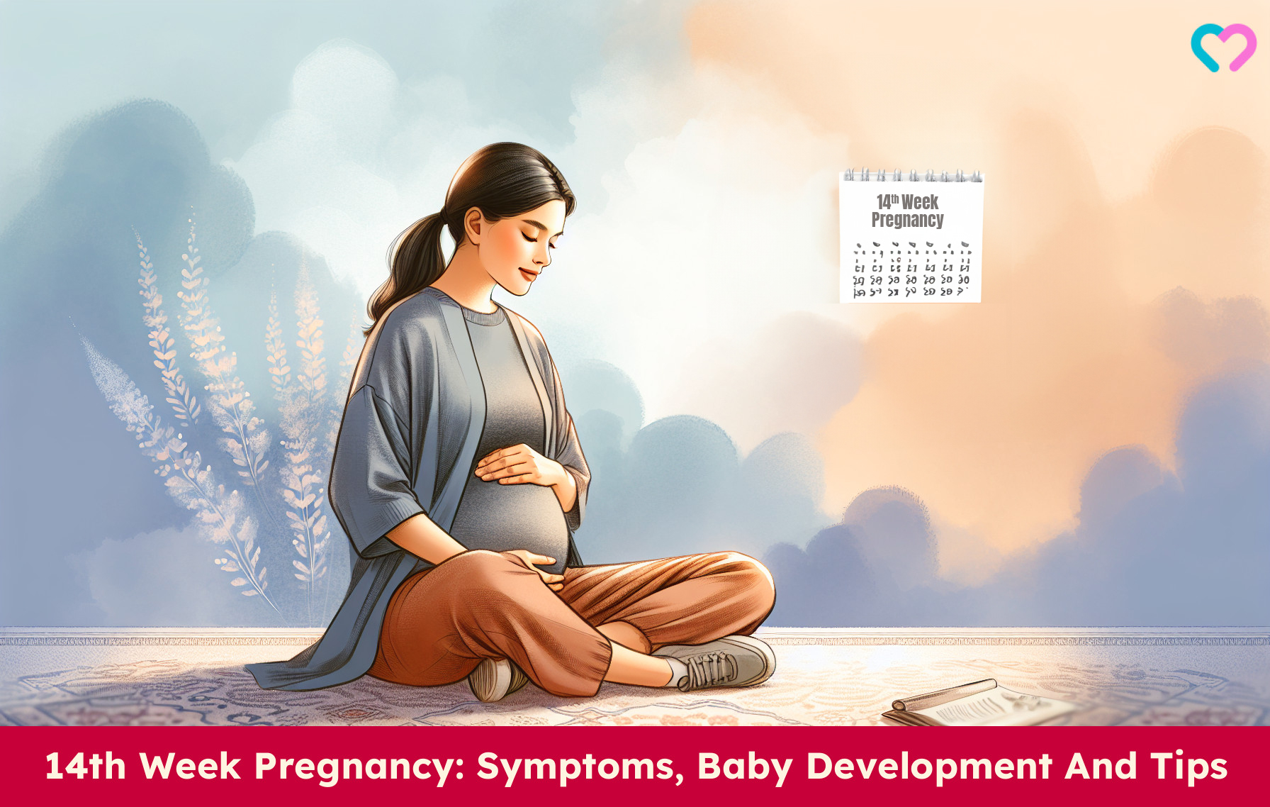14th Week Pregnancy_illustration