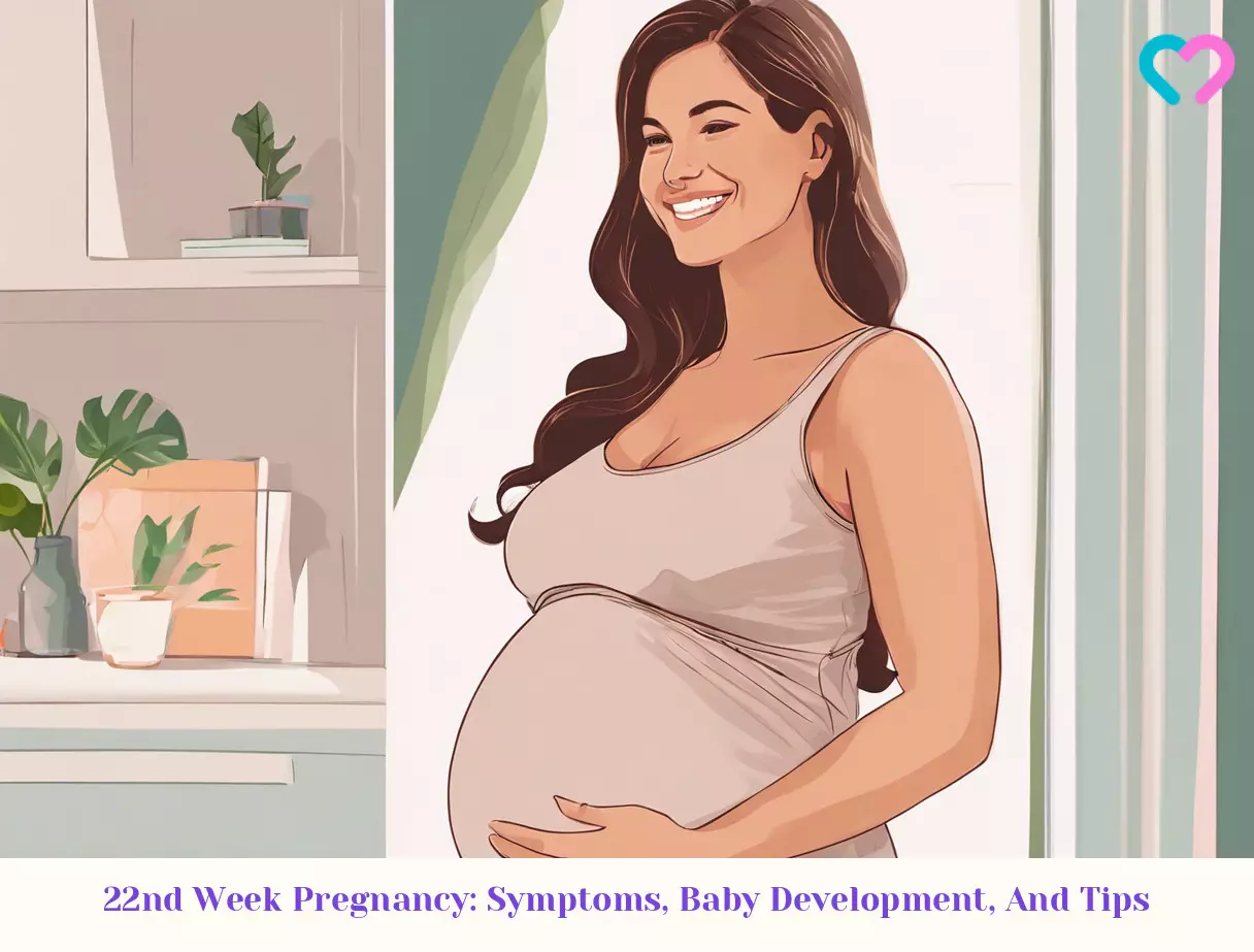 22nd Week Pregnancy_illustration