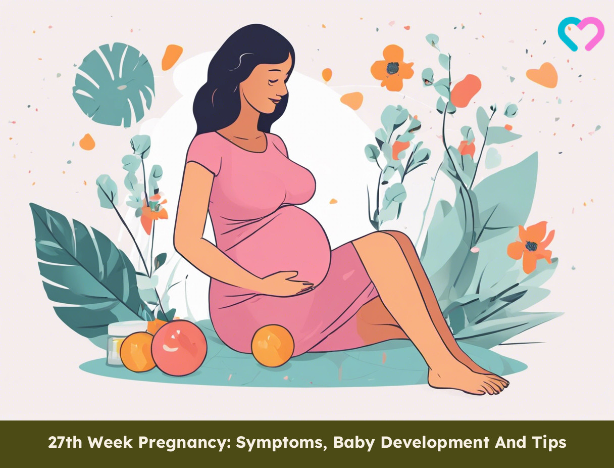 27th Week Pregnancy_illustration