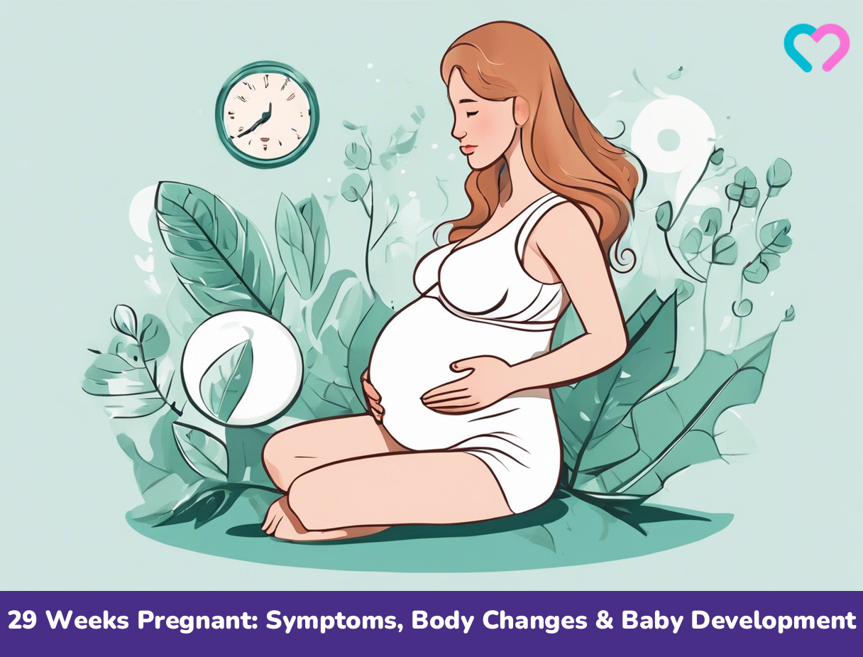 29th Week Pregnancy_illustration