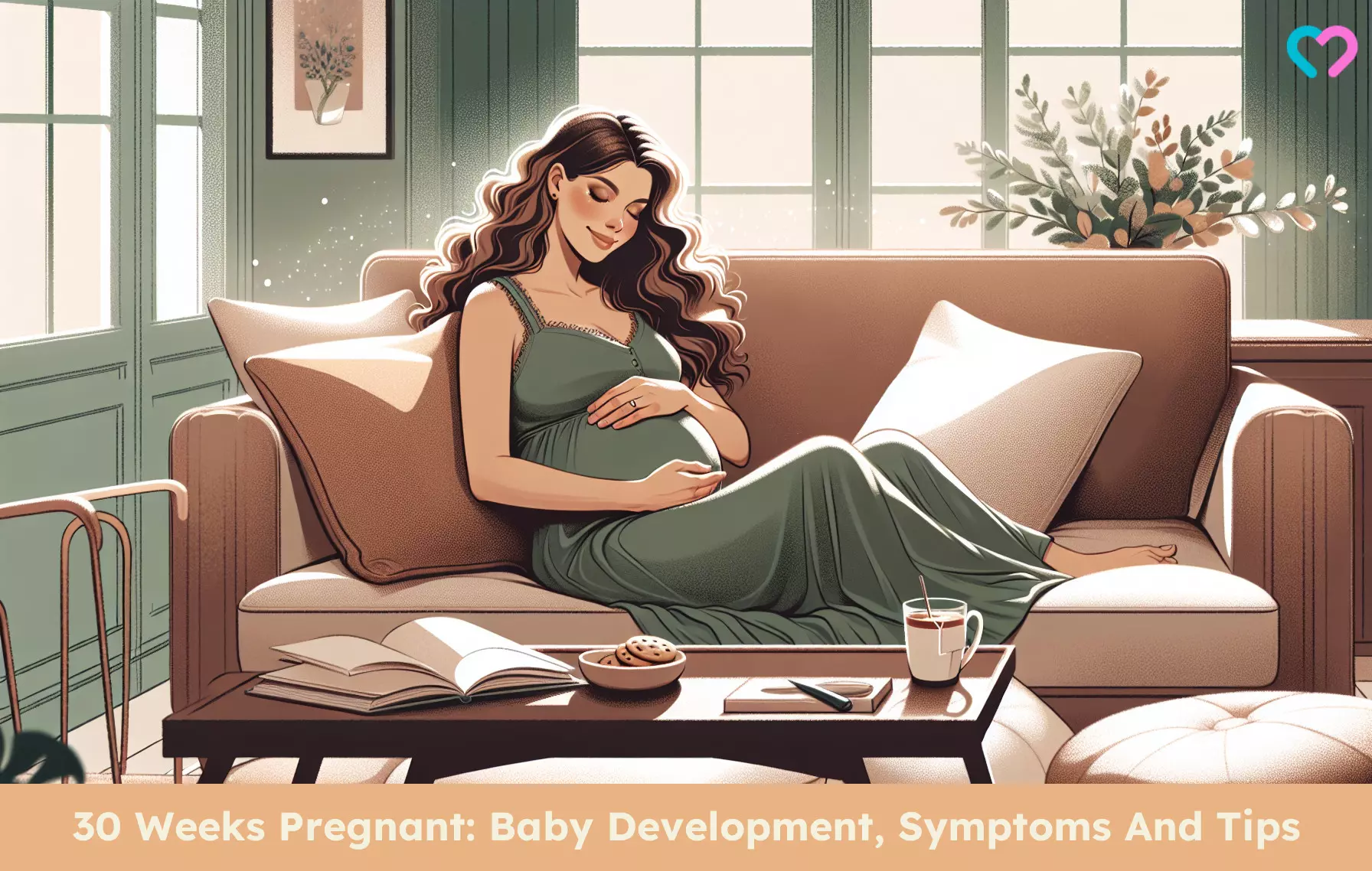 30th Week Pregnancy_illustration