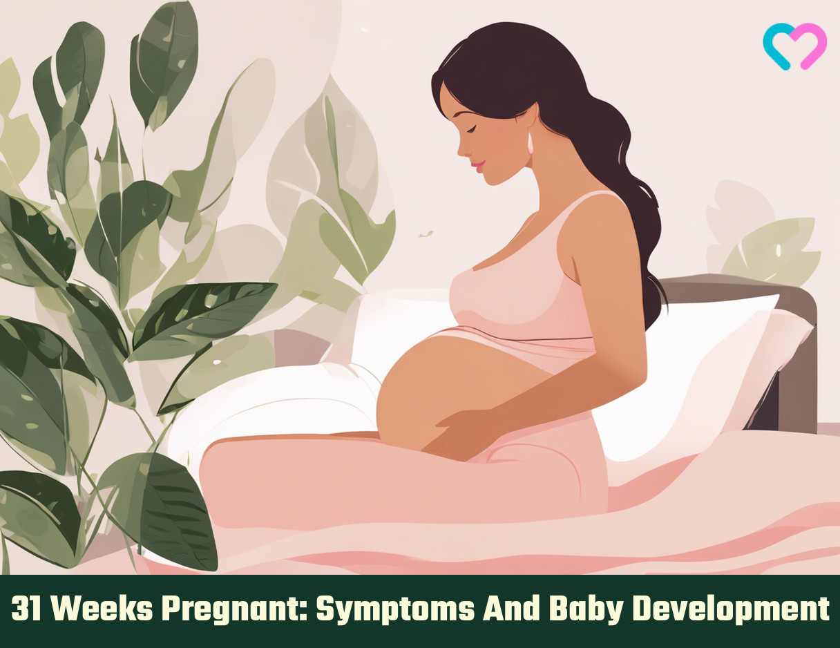 31st Week Pregnancy_illustration