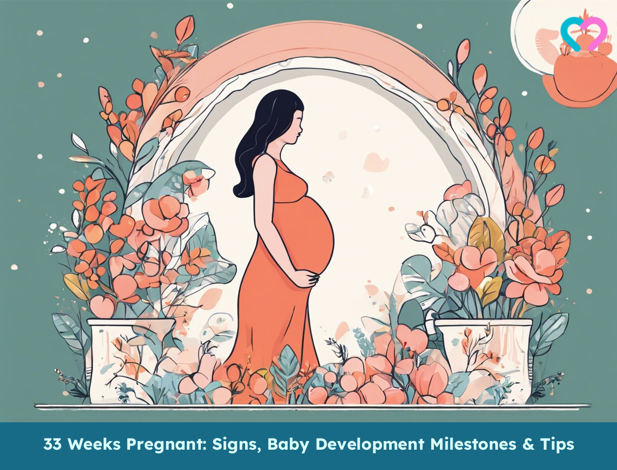33rd Week Pregnancy_illustration