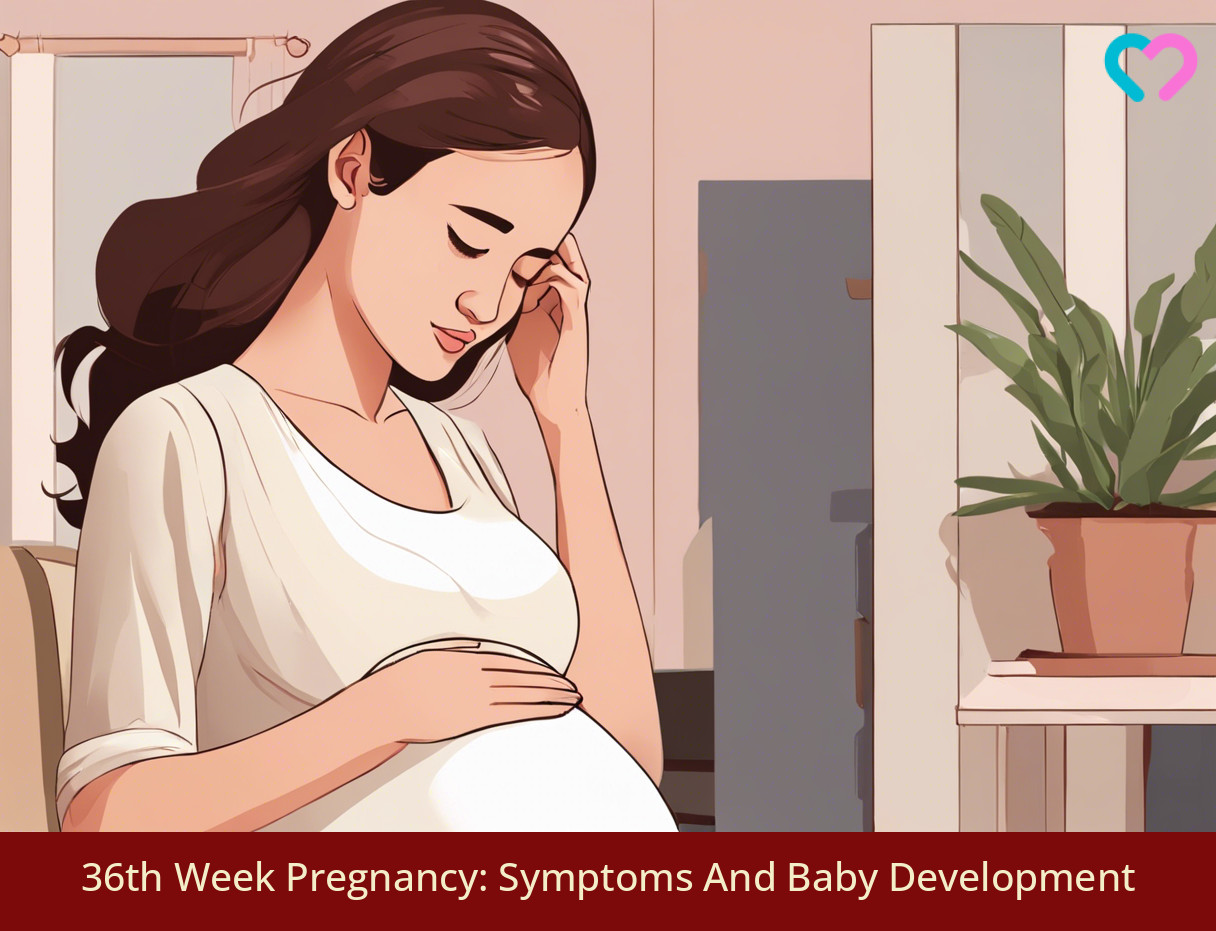36 week pregnancy_illustration
