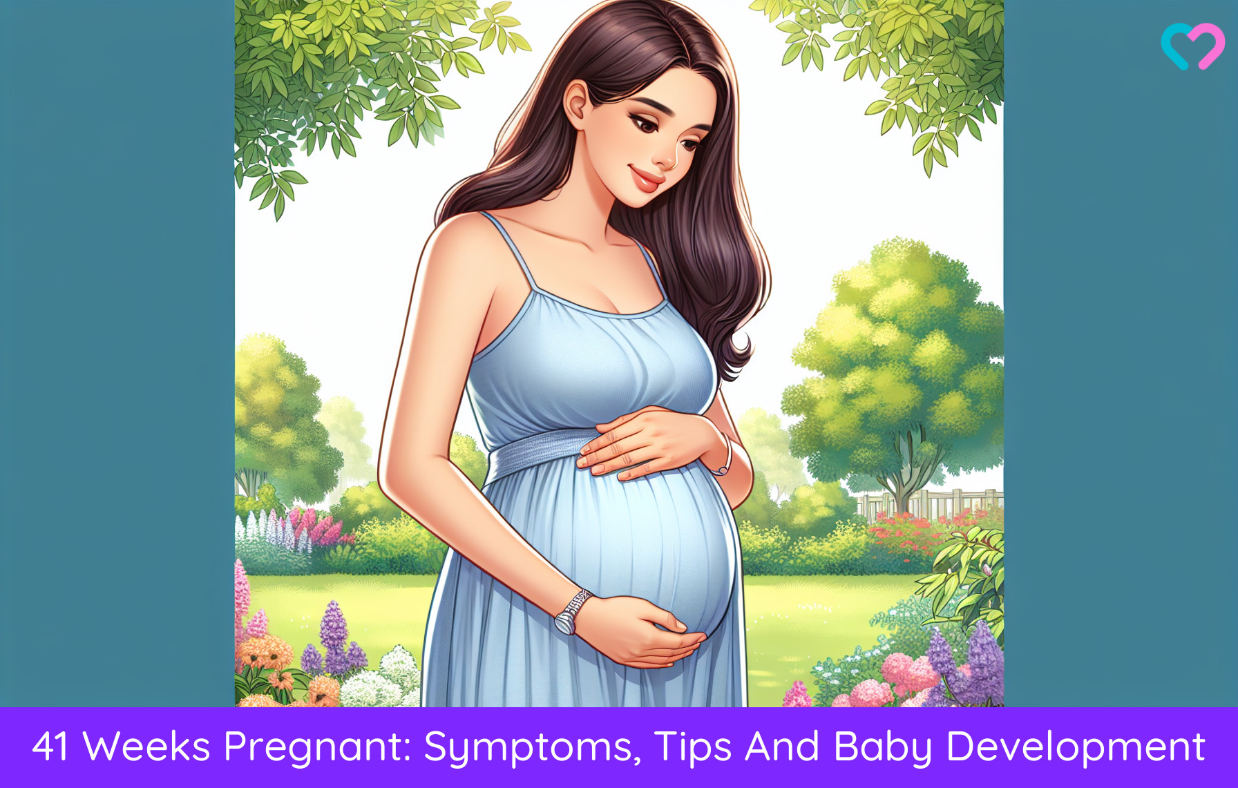 41st Week Pregnancy_illustration