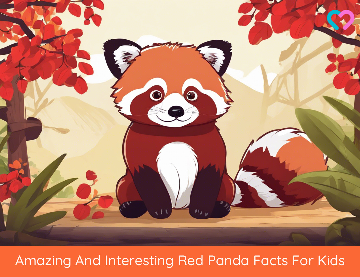 Red Panda Facts For Kids_illustration
